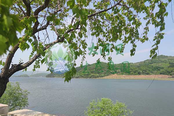沈陽大河貝墓園，貼心服務，守護家屬情感